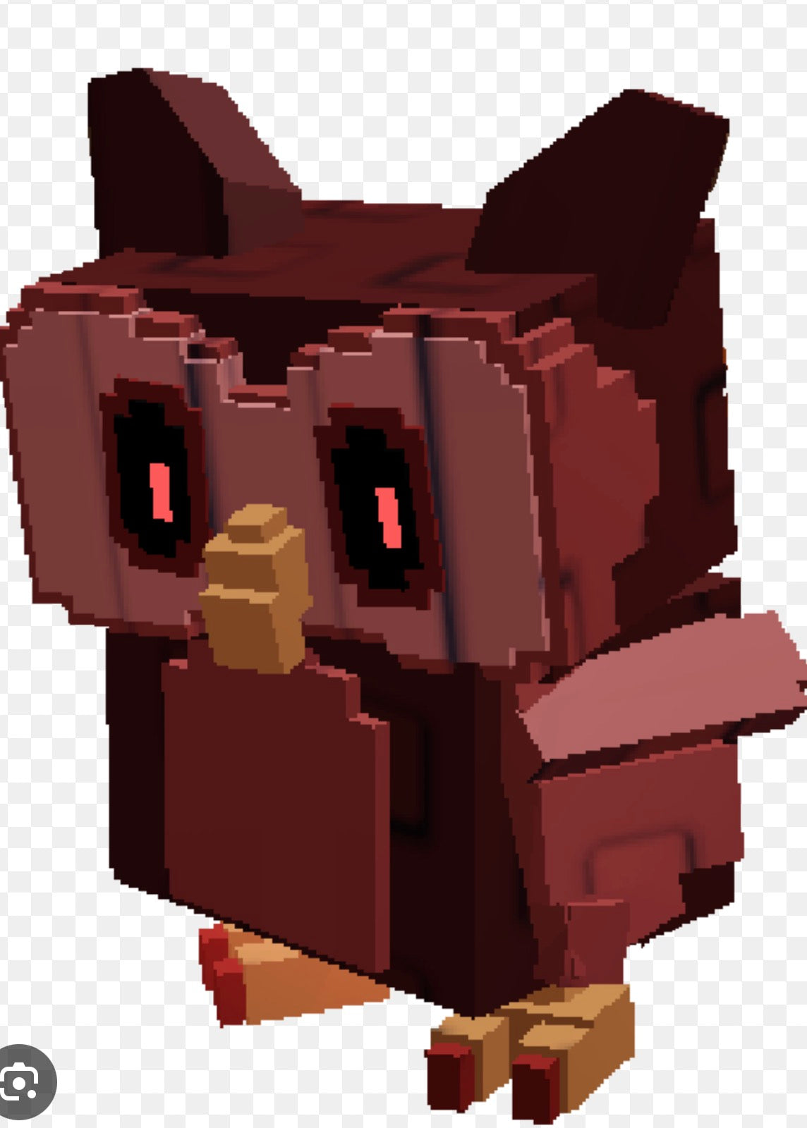 Blood owl, last one in stock