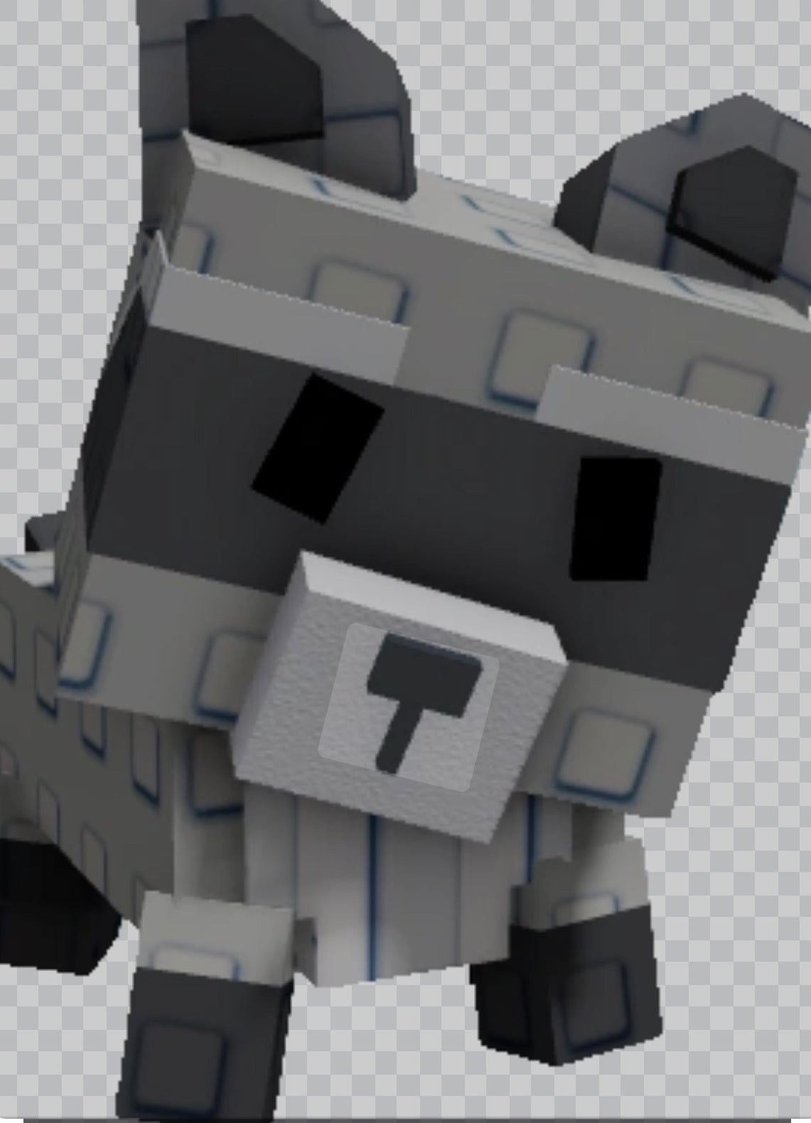 Raccoon